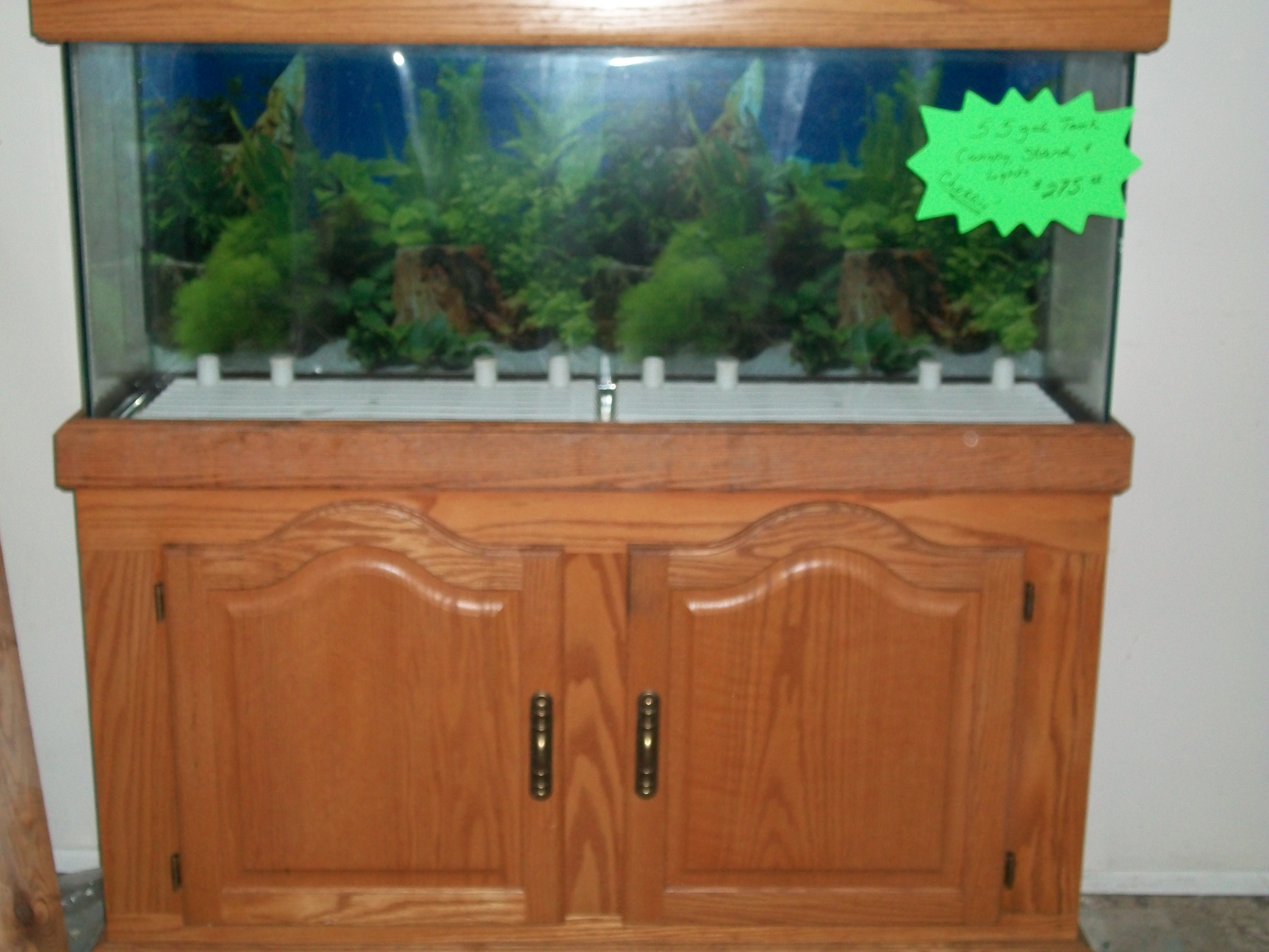 55 gallon aquarium with Oak stand and Canopy