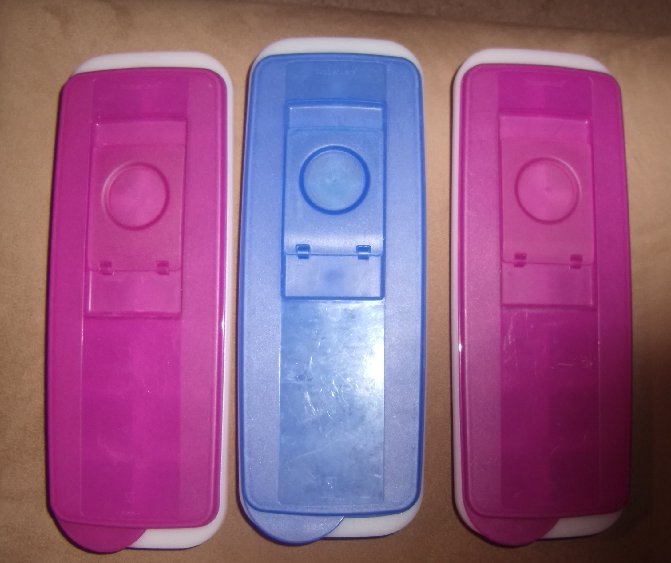 Tupperware Covered Ice Trays