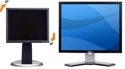 Dell Monitors 19\" and 17\"
