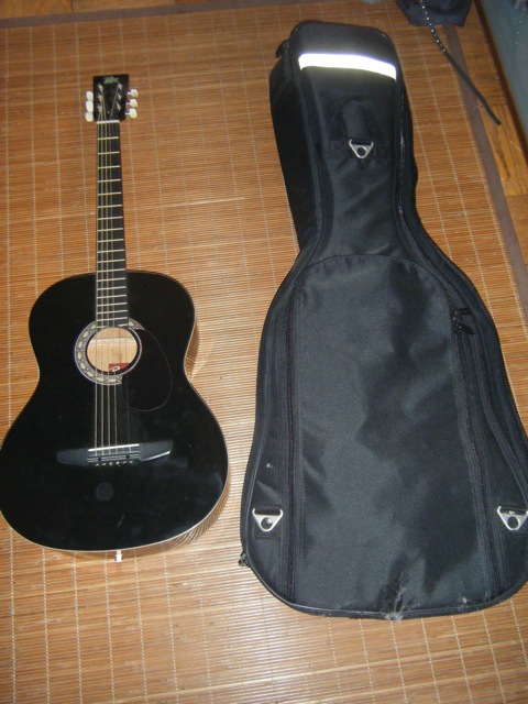 Guitar (plus guitar case)