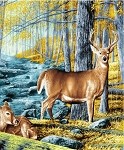 Queen Size Blanket Deer