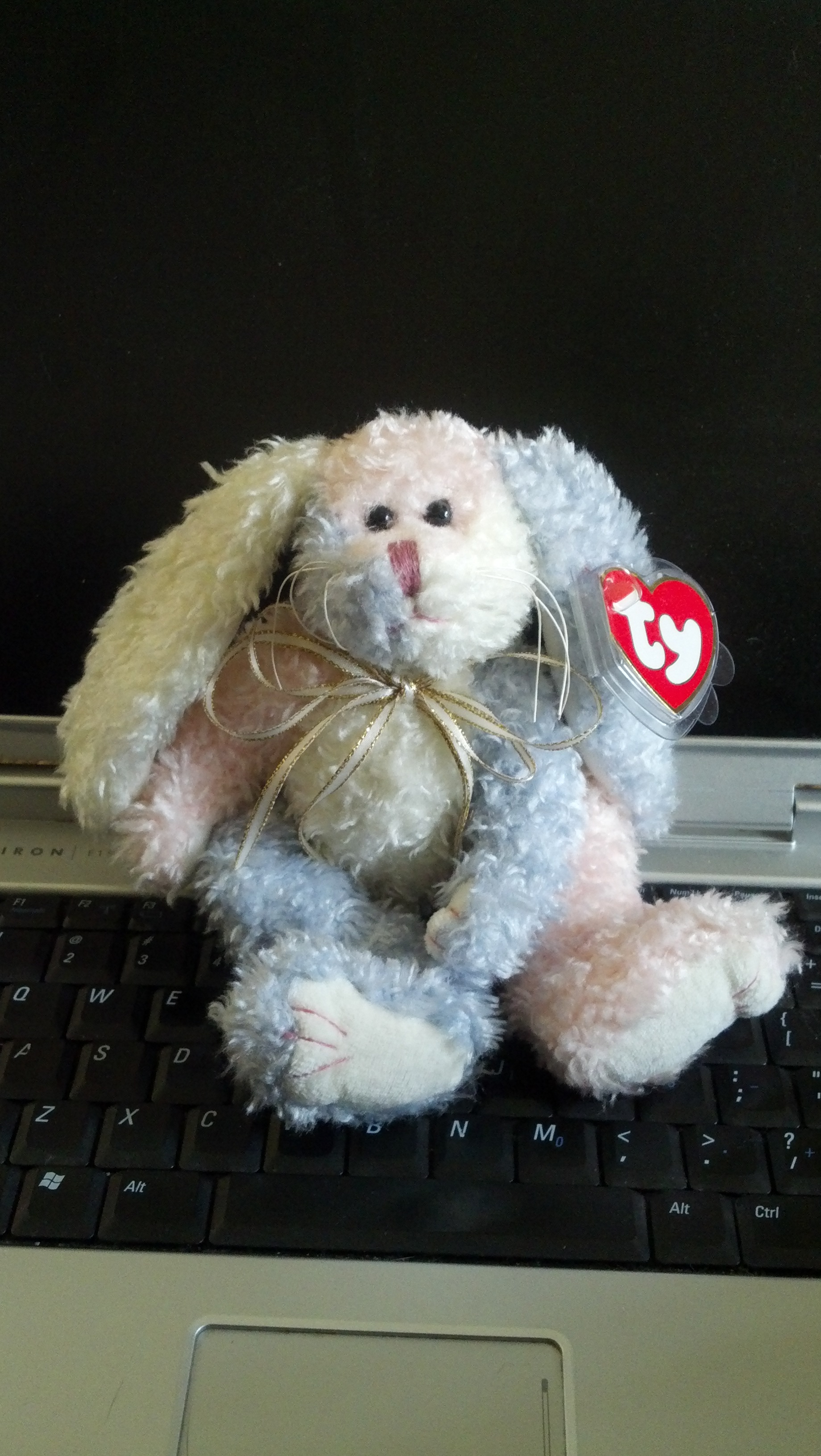 \"May\" Beanie Baby from TY w/ Original Tag