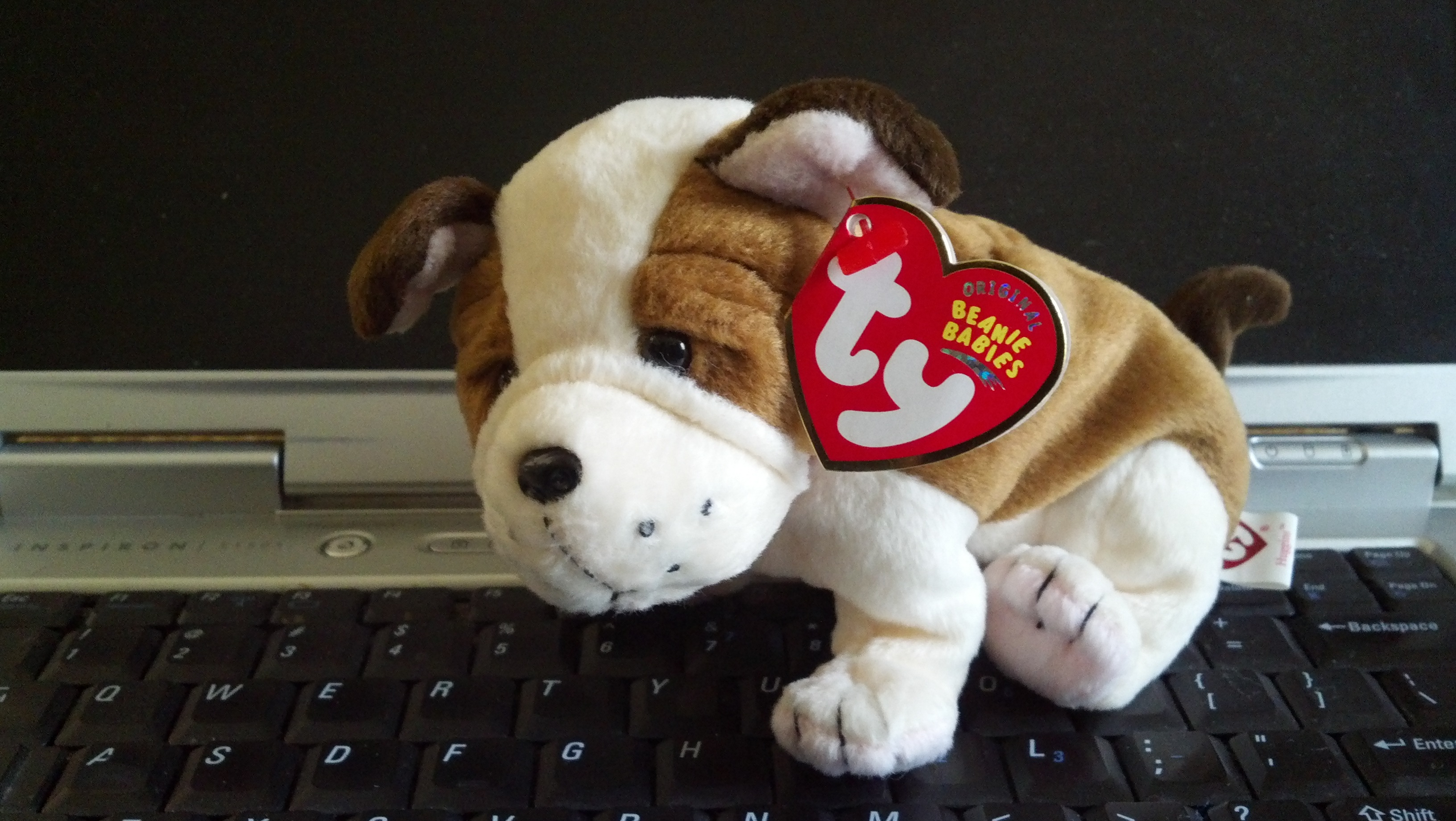 \"Huggins\" Beanie Baby from TY w/ Original Tag