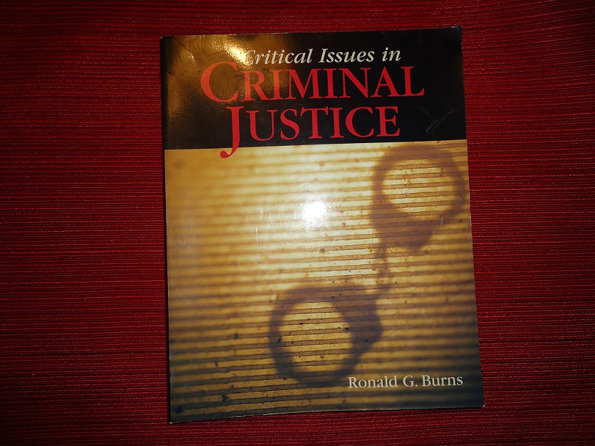 Critical Issues in Criminal Justice [Paperback] Robert Burns