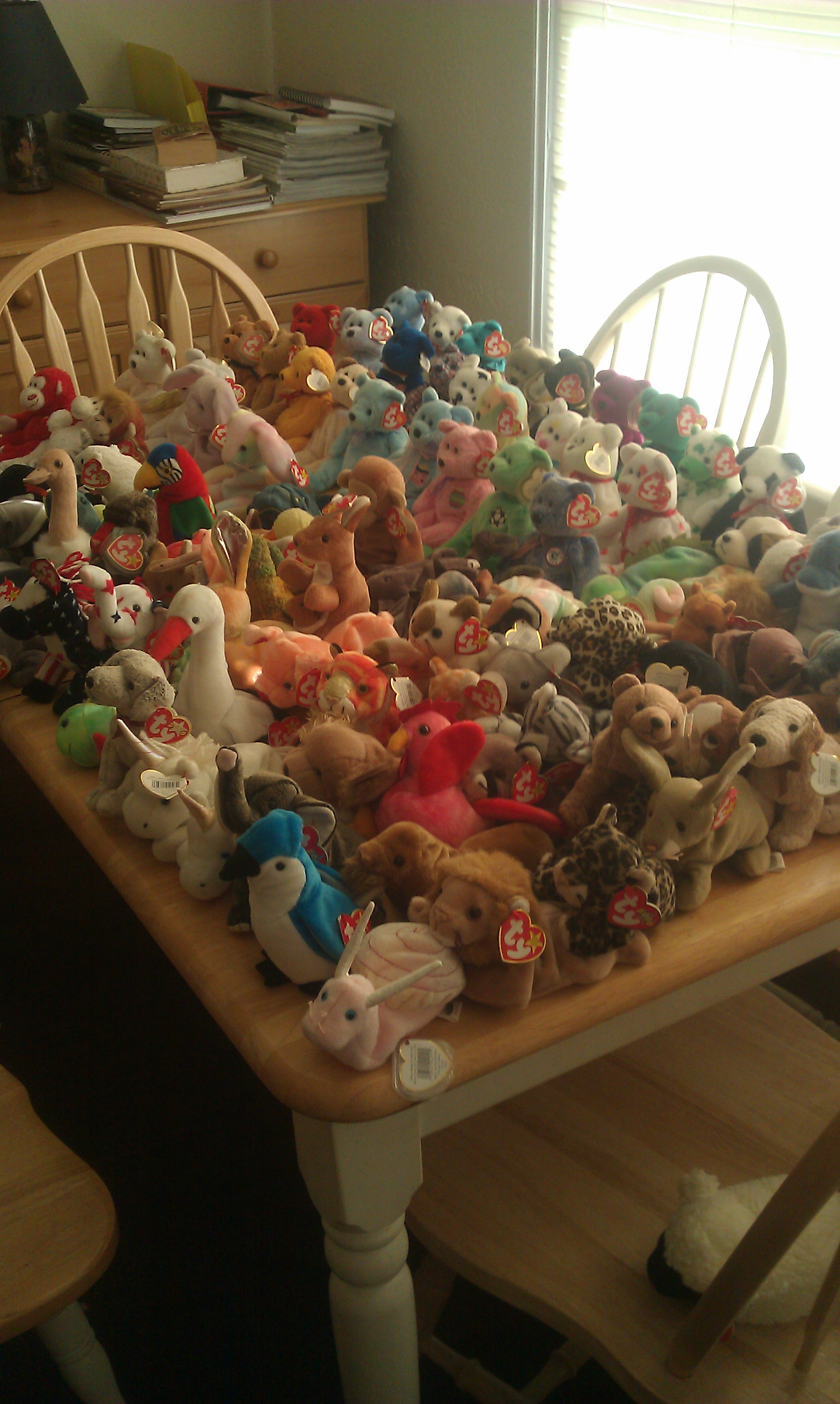 Beanie Baby Collection & Doll Collection