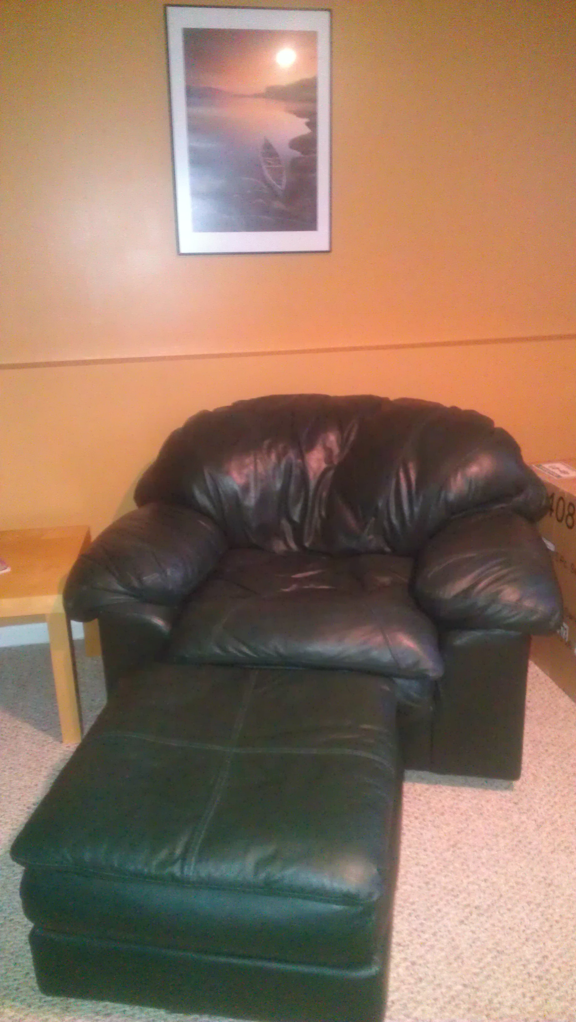 Dark Green Leather Lounge Chair