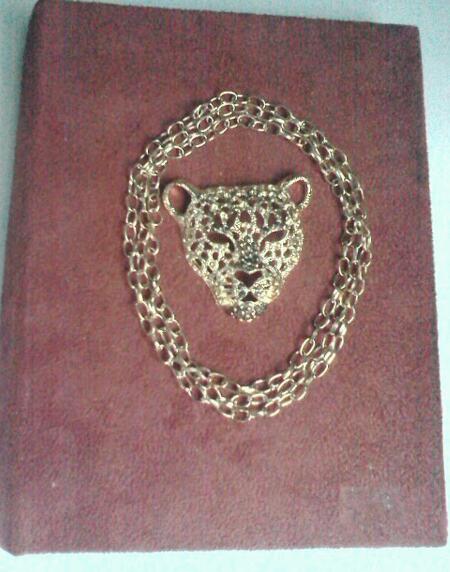 Lion Treasure Book