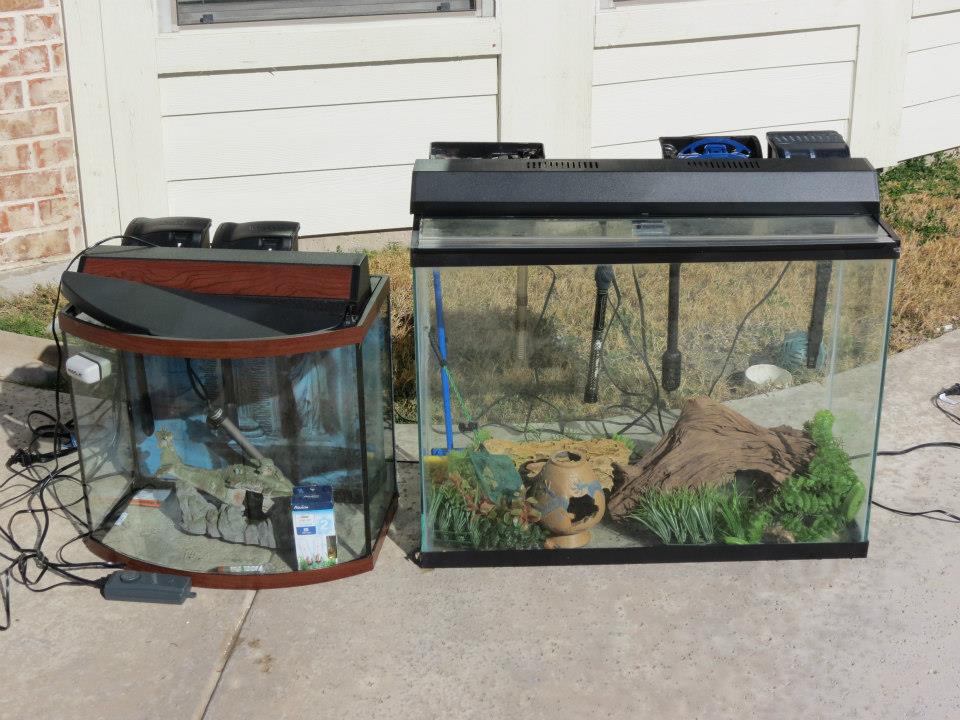2 Fish Tanks - Loaded with equiptment and accessories!