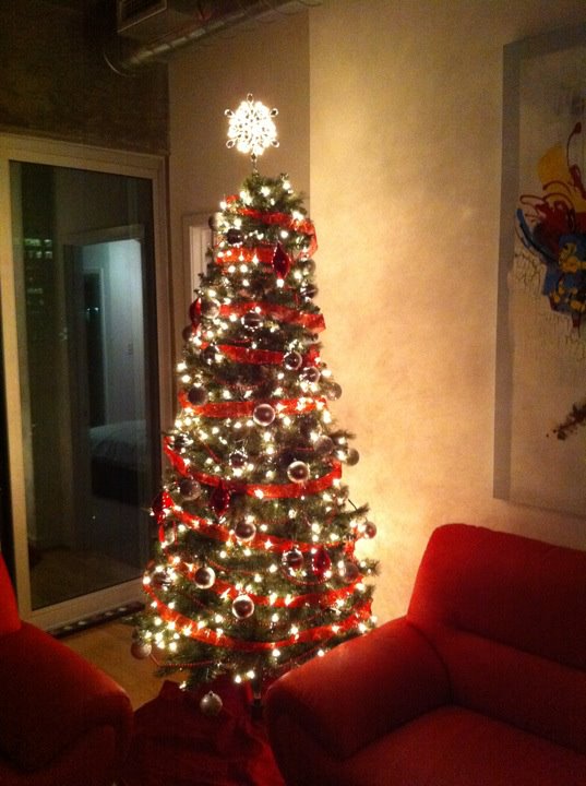 Christmas Tree and all it\'s decorations