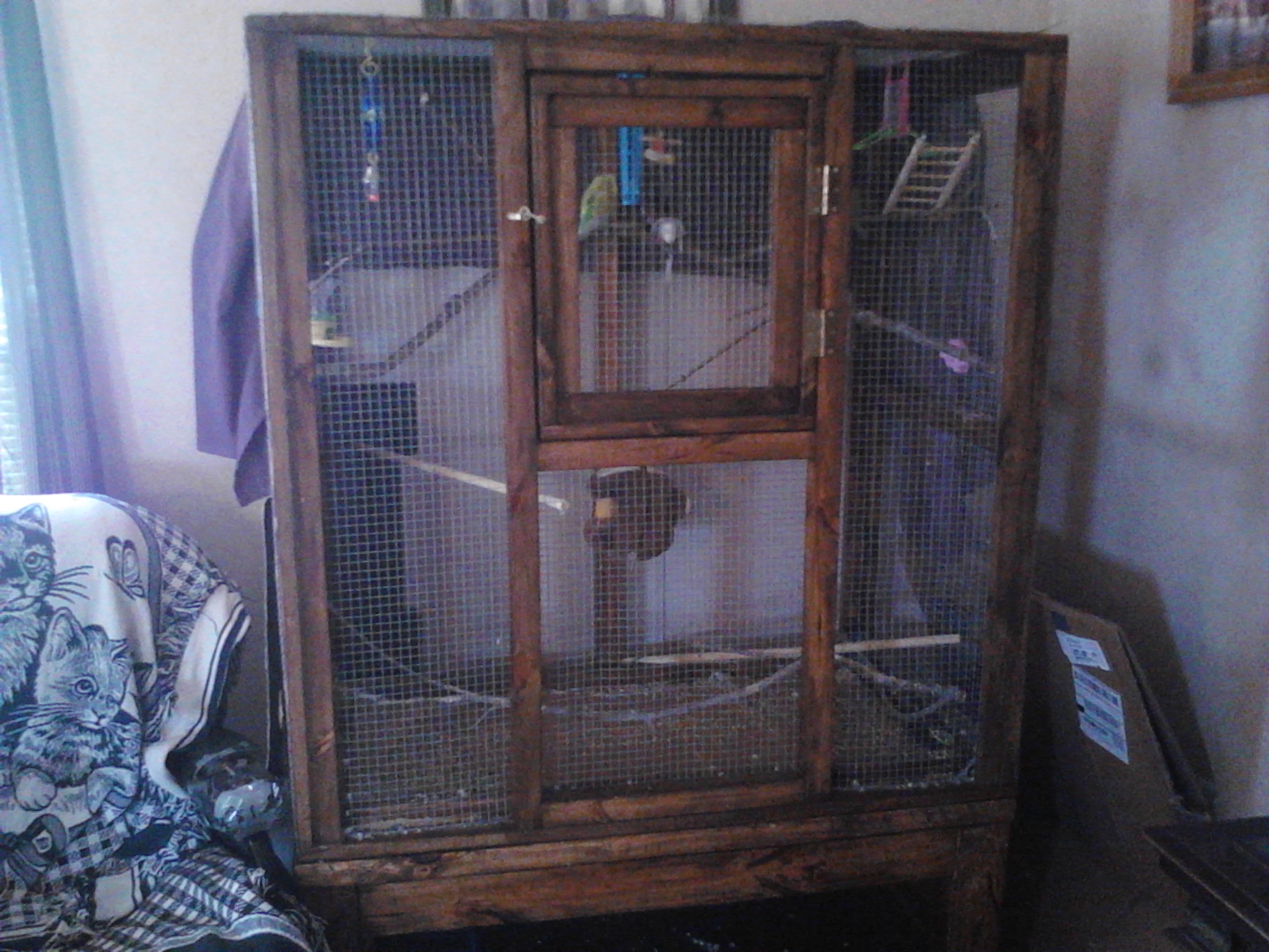 parakeets and big wooden cage
