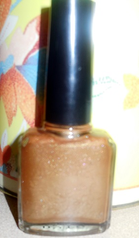 Cover Girl - Nail Slicks - Spice *Discontinued*