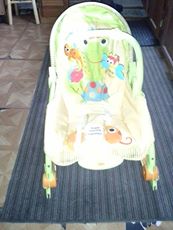 baby bouncer that vibrates