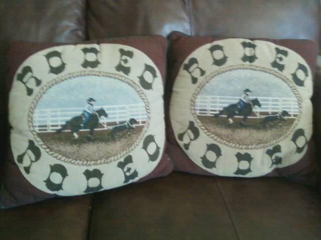 Two Rodeo pillows