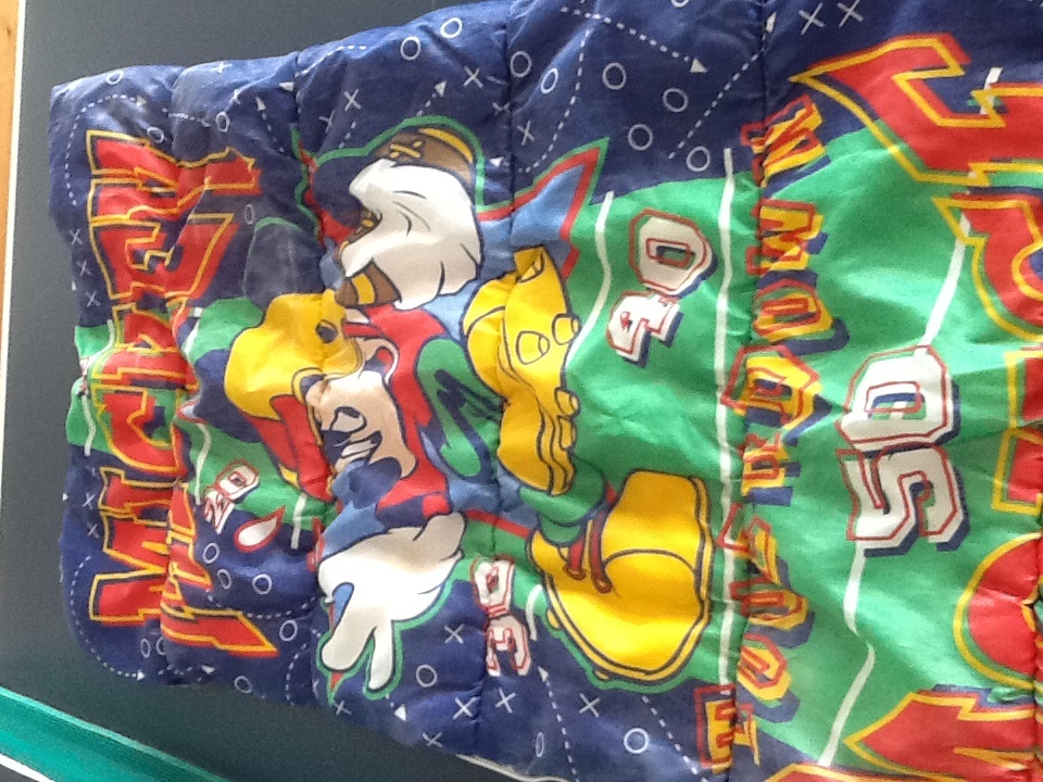 Mickey mouse sleeping bag $4