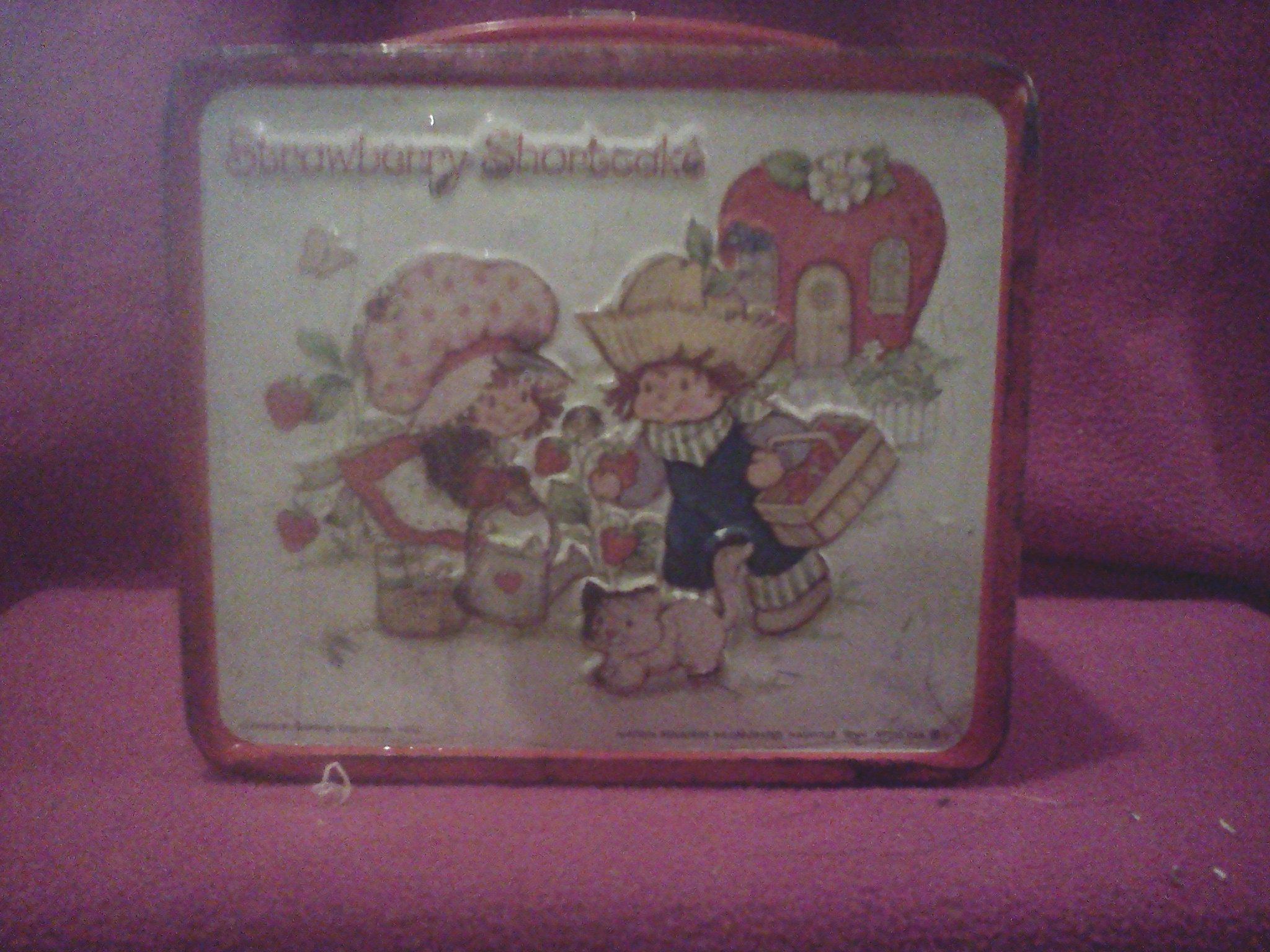 1980 Strawberry Shortcake Metal Lunch Box