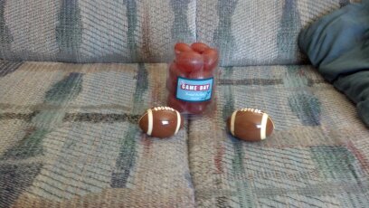 Game Day Salt & Pepper Shakers and Reuseable Ice Cubes