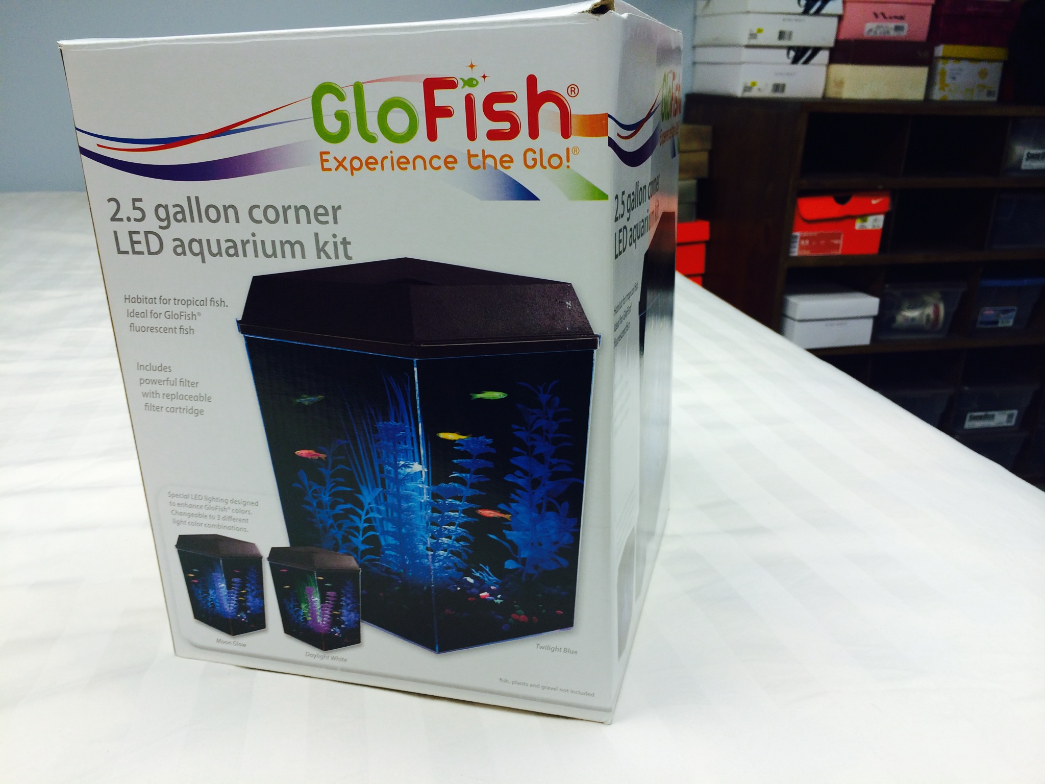 Glofish tank with accessories