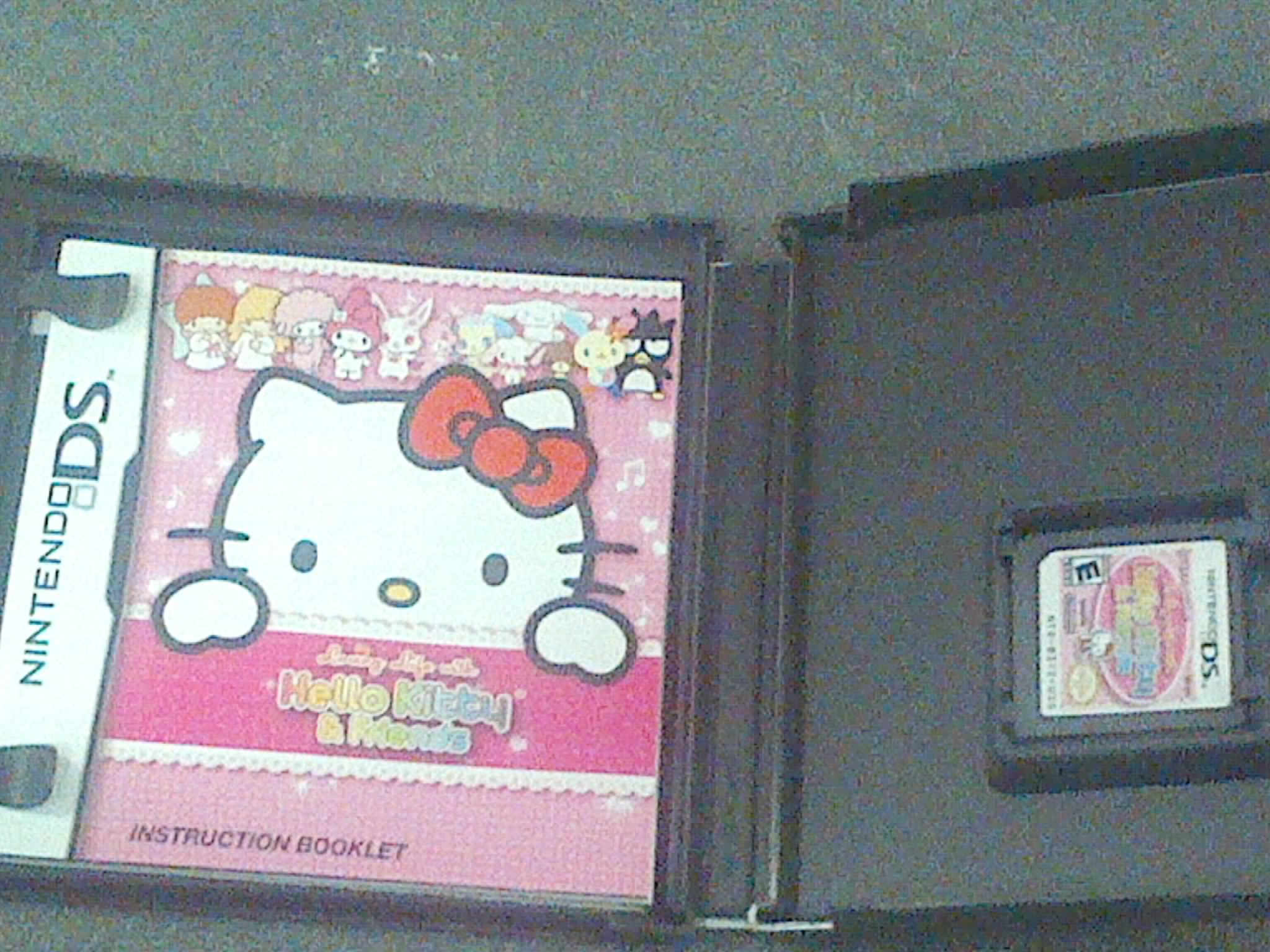 Nintendo ds Hello kitty game in case