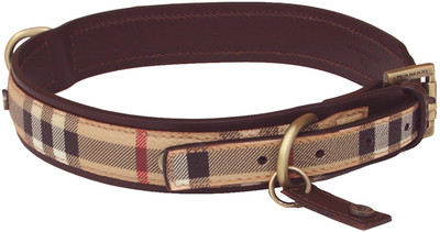 burberry dog collar real