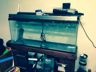 55 gallon saltwater tank with stand and sump, lights,everything