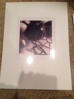 Matted Apple Photo -can purchase individually or set of 4 for $35