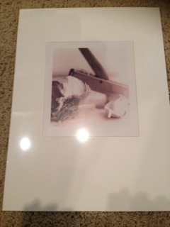 Matted Garlic Photo-can purchase singly or set of 4 for $35