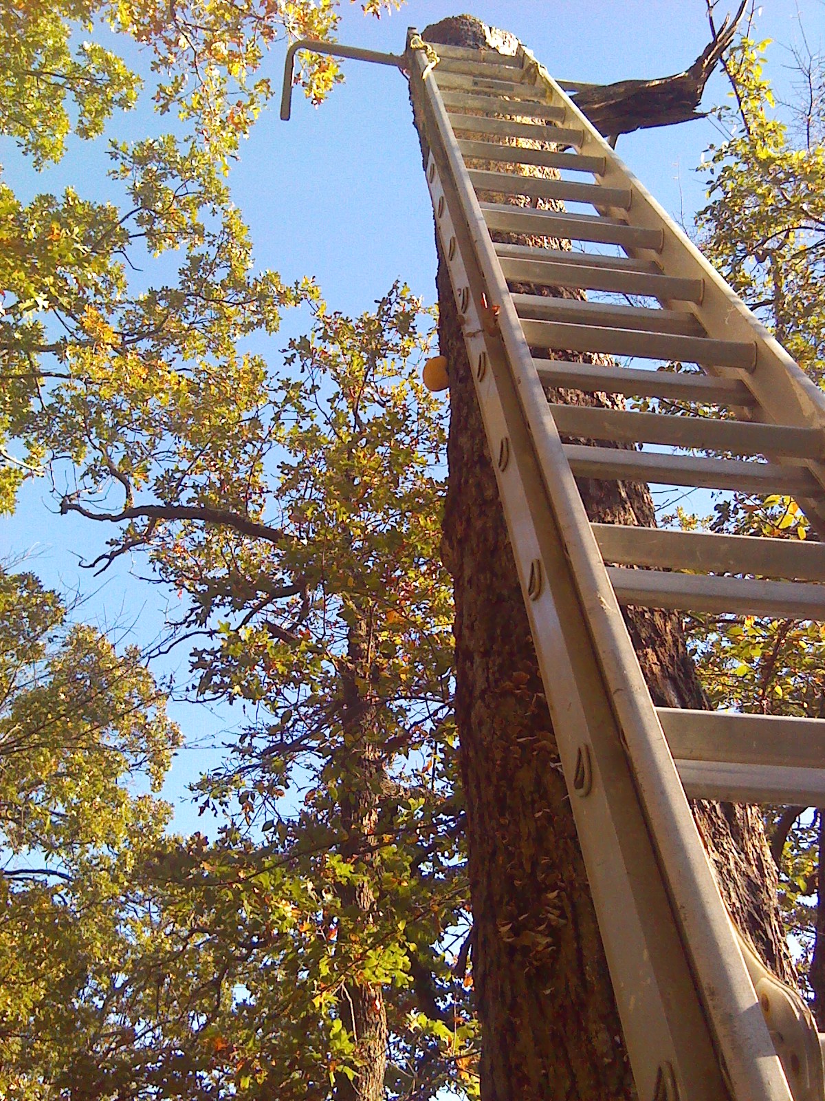 Aluminum 40 ft. Extension Ladder