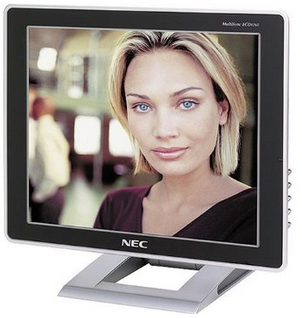 NEC Computer 17\" monitor