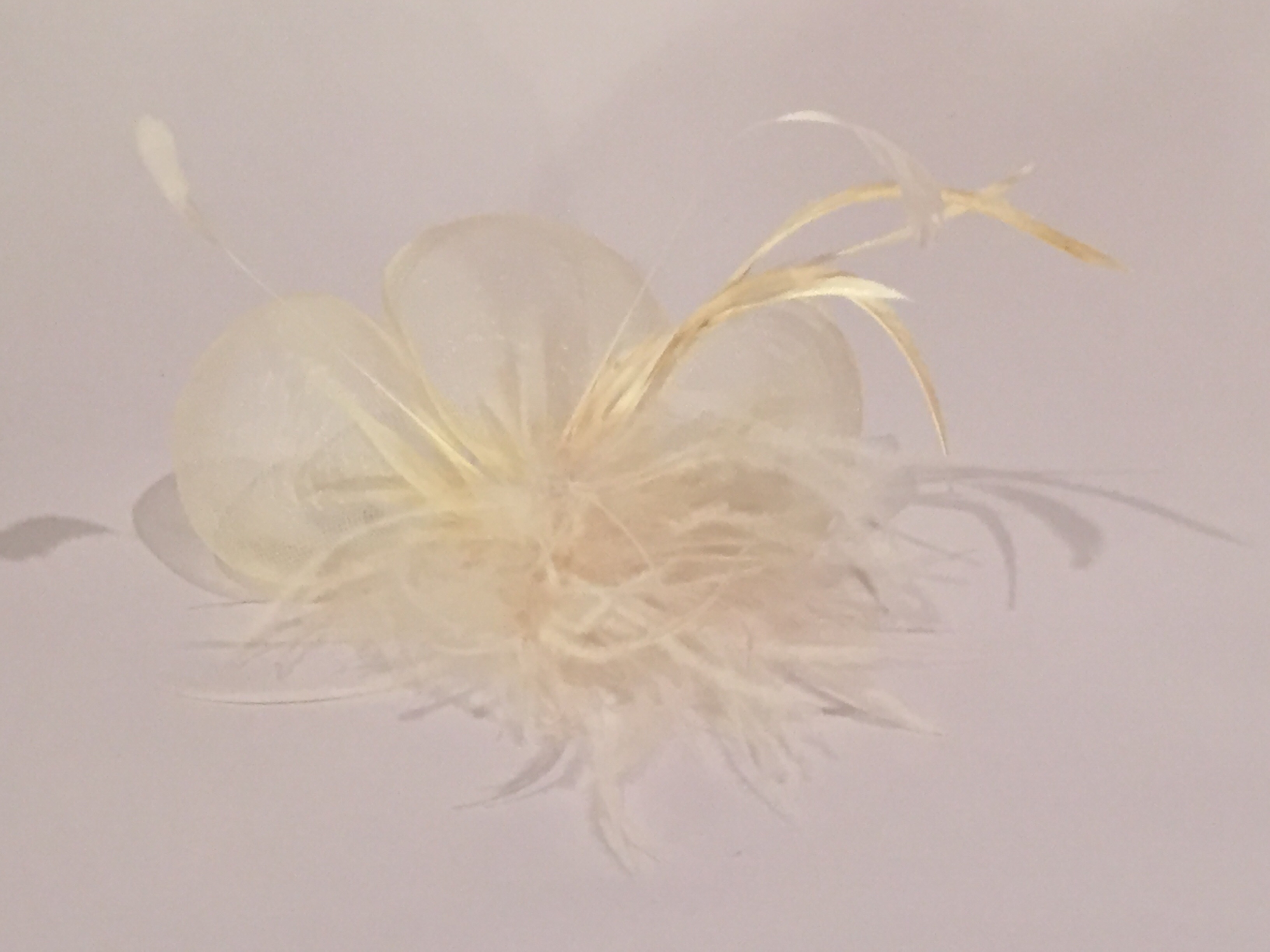 feather Netted Hair Clip
