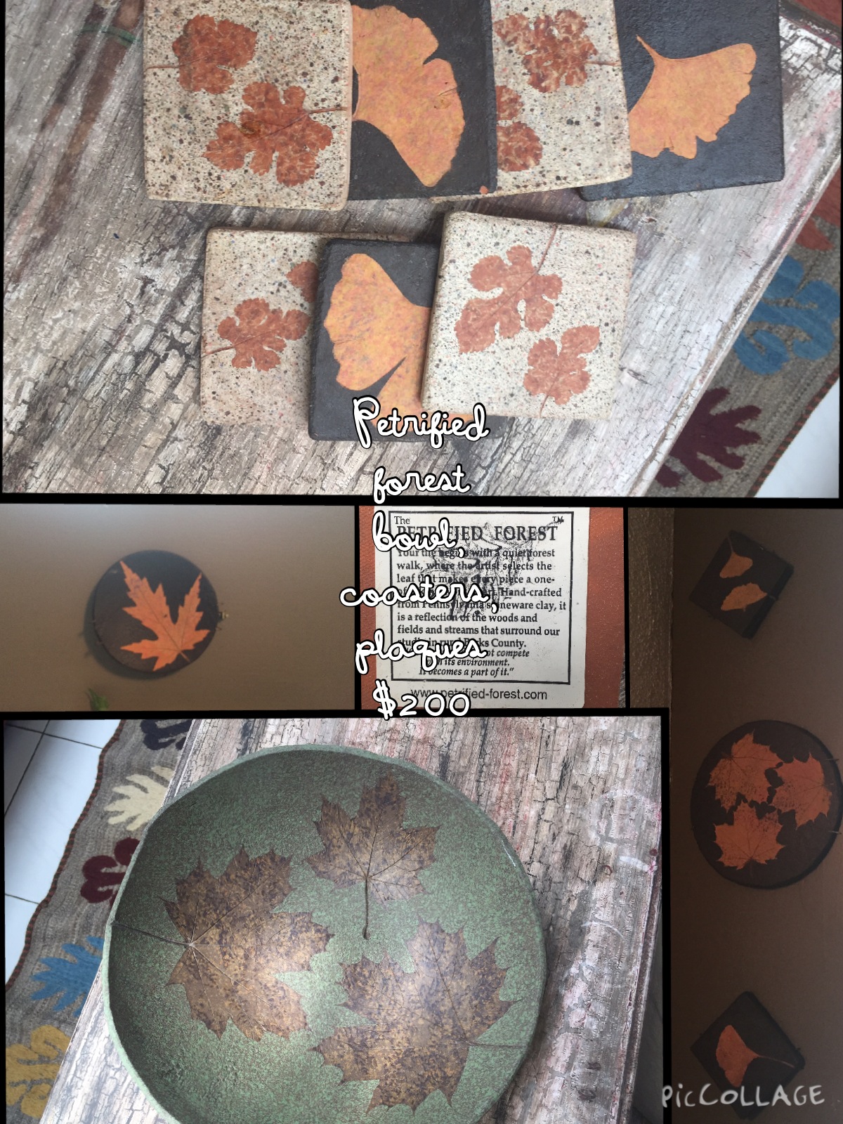 Petrified Forest Bowl, Coasters and Plaques