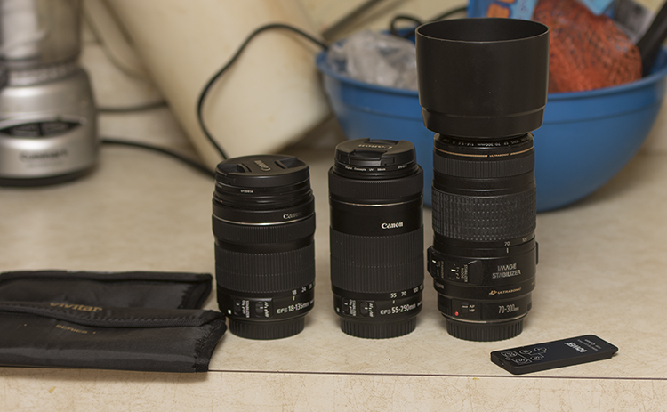 EFS 55-250mm f4-5.6 IS STM Zoom Lens