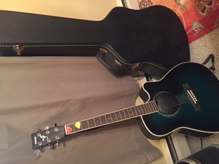 Yamaha Guitar and Case