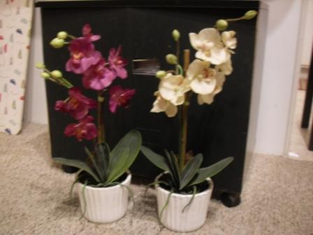 Life like Potted Orchid Plants Set of 2