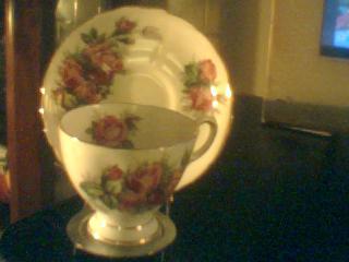 Moss Rose Tea Cup & Saucer Bone China