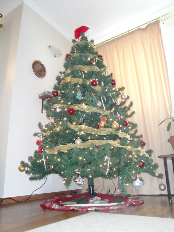 Christmas Tree - Lighted Hudson Bay Fir