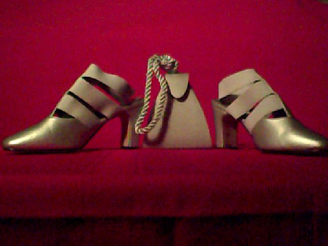 Women\'s Shoes (Size 6)  & Matching Purse (color: silver)