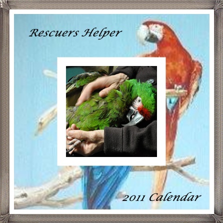 Rescuers Helper 2011 Calendar complete with backstories