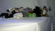 Over 100 Webkinz without tags