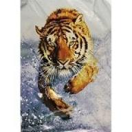 Queen Size Blanket Tiger