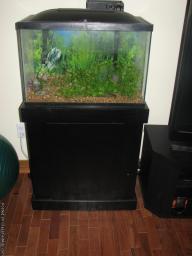 Marineland LED 20 gal aquarium with accesories and stans