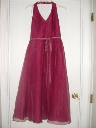 Size 8 Prom/Homecoming Dress