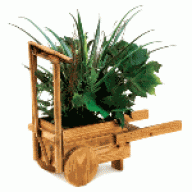 Wooden Cart with green plant