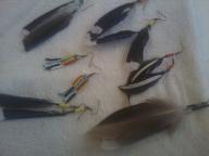Assorted hand made Native American style feather earings.