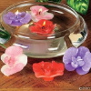 24 ORCHID FLOATING CANDLES