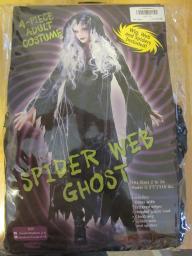 Spider Web Ghost Costume