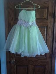 Prom Dress / Homecoming Dress