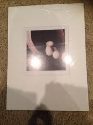 Matted Egg Photo-can purchase individually or set of 4 for $35