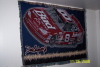 NASCAR - Dale Earnhardt, Jr #8 - throw/wall hanging