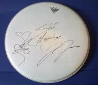 Autographed Drum Head by Steel Magnolia