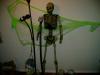Halloween Latex Skeleton  Lifesize